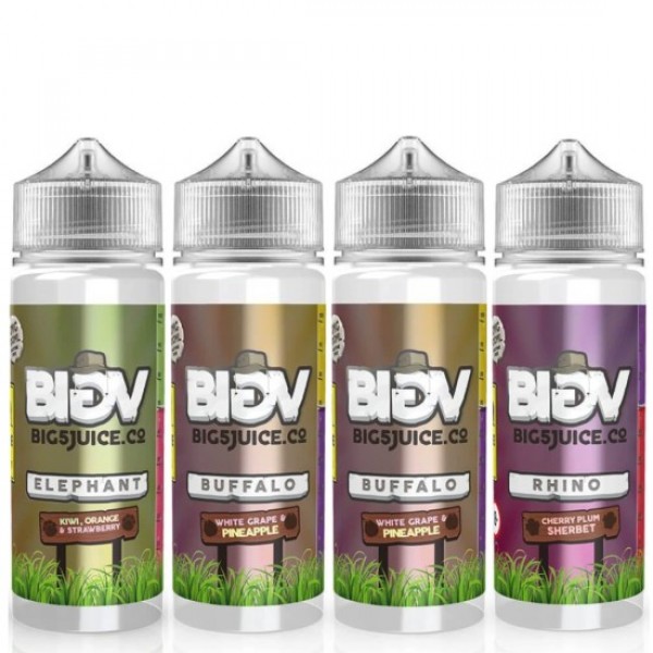 BIG 5 JUICE Fruit Series Eliquid Shortfills 120ml